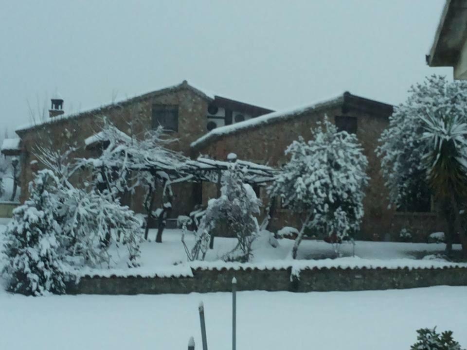 Agriturismo Pingitore Luzzi Exterior foto
